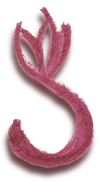 Doula Oberursel Logo